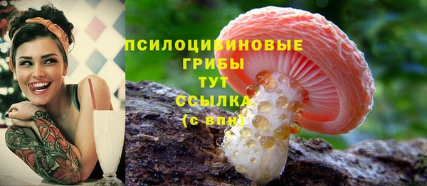 трава Балахна