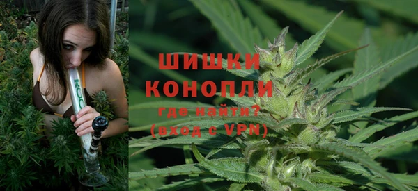 трава Балахна